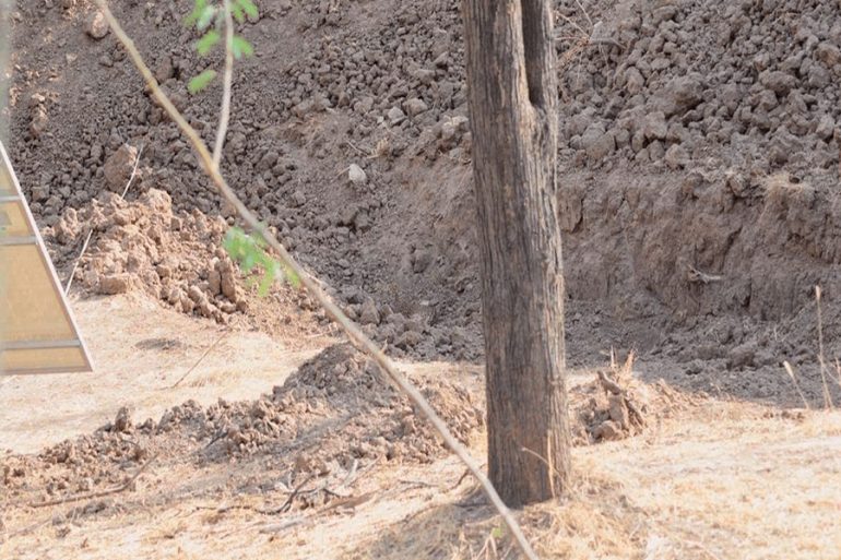 revto-viral-encontrar-a-leopardo-770×513